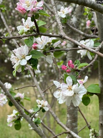 637 Belfast Road, Newberry, SC 29108