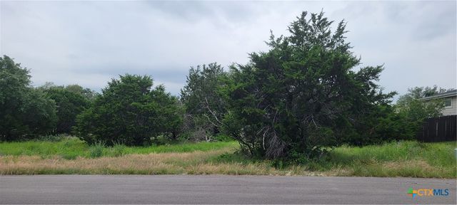 21524 Santa Elena Circle, Lago Vista, TX 78645