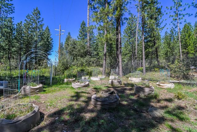 2399 Campo Flores Ln, West Point, CA 95255