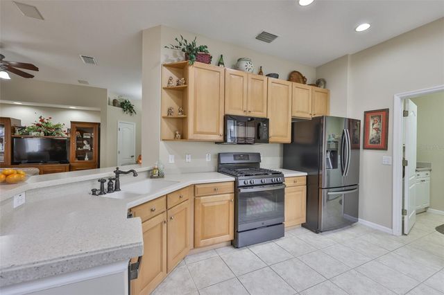 1118 EMERALD DUNES DRIVE, Sun City Center, FL 33573