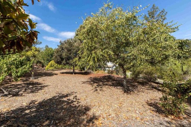 13872 Misty Oak Road, Valley Center, CA 92082
