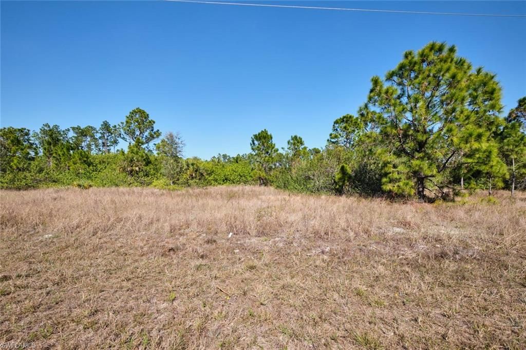 1025 Winters ST E, LEHIGH ACRES, FL 33974 — exterior