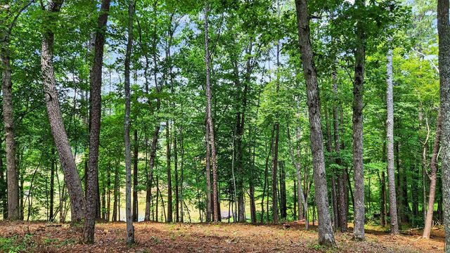 LT 170 Overlook Way, Ellijay, GA 30540