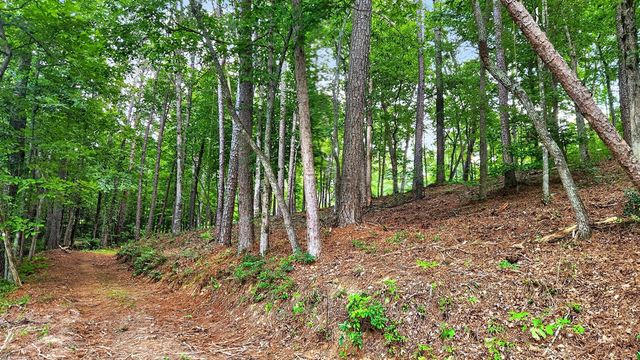 LT 170 Overlook Way, Ellijay, GA 30540