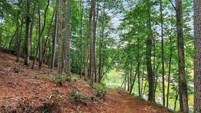 LT 170 Overlook Way, Ellijay, GA 30540