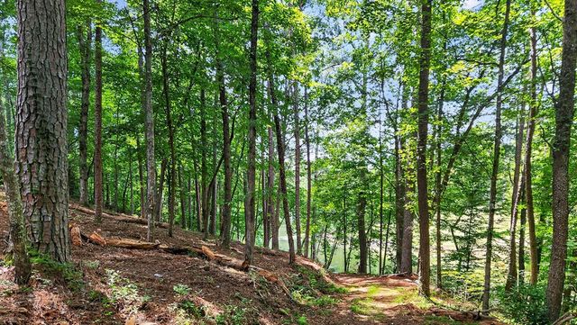 LT 170 Overlook Way, Ellijay, GA 30540