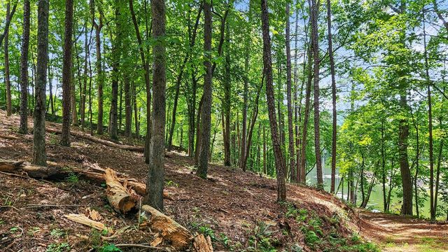 LT 170 Overlook Way, Ellijay, GA 30540
