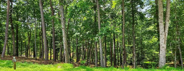 LT 170 Overlook Way, Ellijay, GA 30540