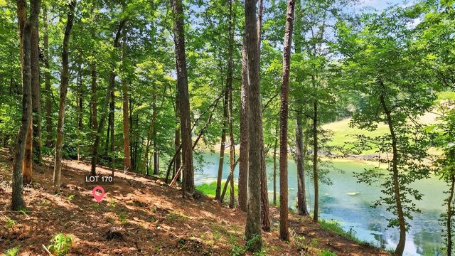 LT 170 Overlook Way, Ellijay, GA 30540