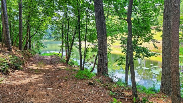 LT 170 Overlook Way, Ellijay, GA 30540