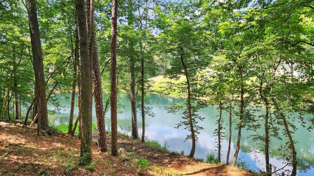 LT 170 Overlook Way, Ellijay, GA 30540