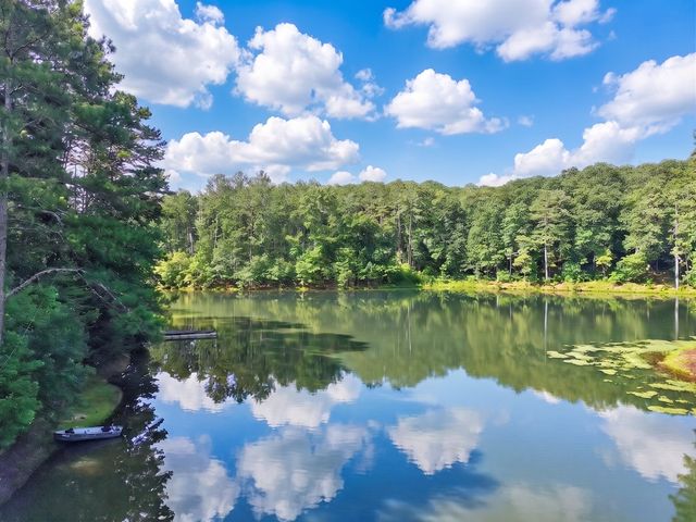 LT 170 Overlook Way, Ellijay, GA 30540
