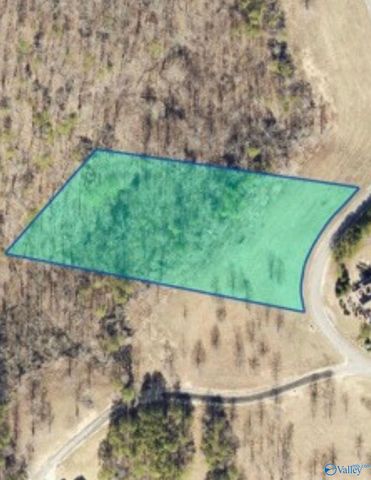 Lot 48 County Road 767 48, Cedar Bluff, AL 35959