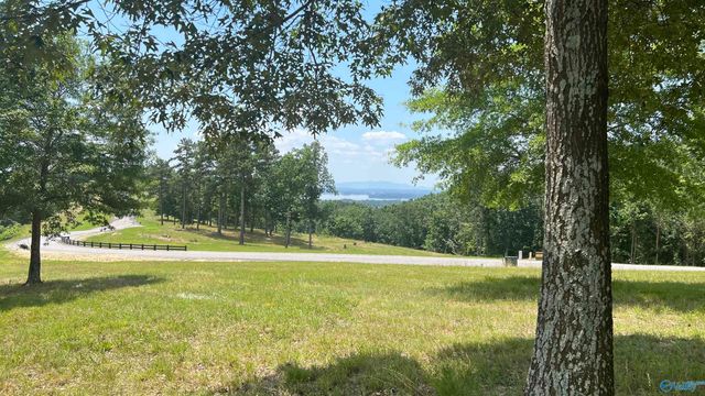 Lot 48 County Road 767 48, Cedar Bluff, AL 35959