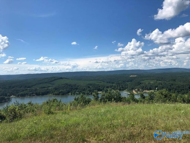 Lot 48 County Road 767 48, Cedar Bluff, AL 35959