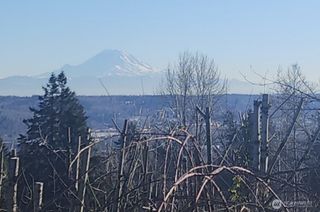 71 xx S 130th Street, Seattle, WA 98178