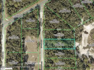 9088 Realstone Drive, Webster, FL 33597