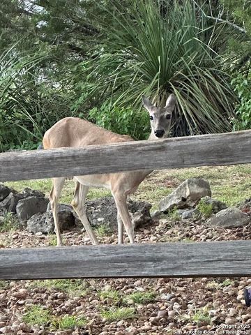 820 Hill Top, Canyon Lake, TX 78133