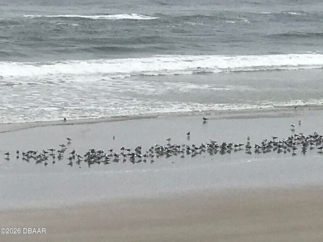 1711 Ocean Dunes Terrace, Daytona Beach, FL 32118