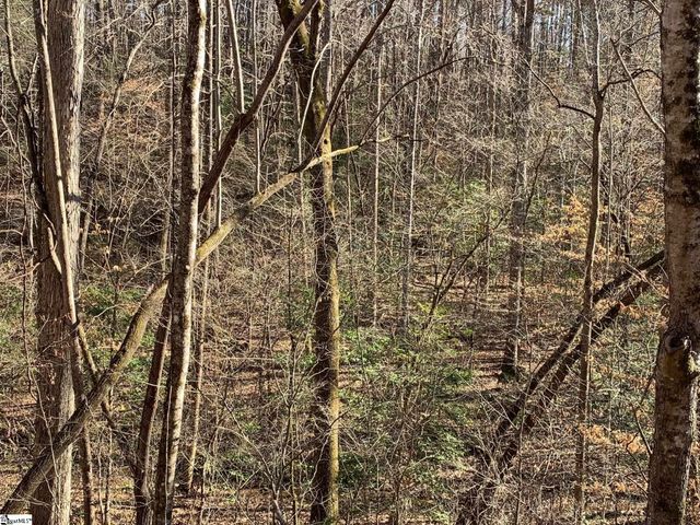 157 Saw Mill Road, Marietta, SC 29661