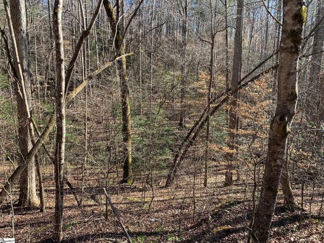 157 Saw Mill Road, Marietta, SC 29661