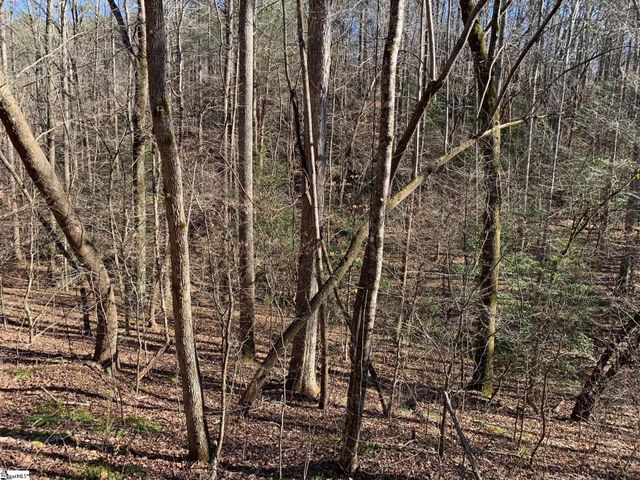 157 Saw Mill Road, Marietta, SC 29661