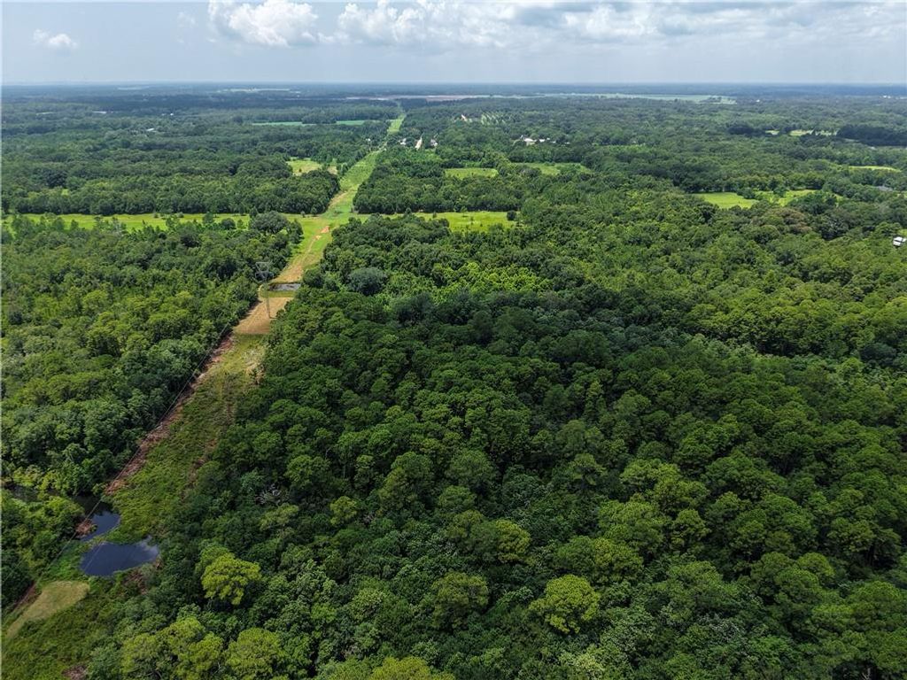 0 Irvington-Bayou La Batre Highway, Irvington, AL 36544 — photo 4