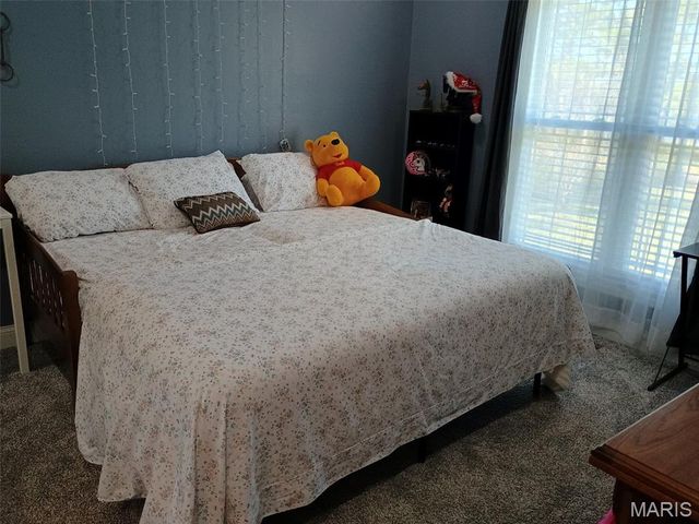 345 County Road 5015, Salem, MO 65560