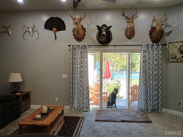 345 County Road 5015, Salem, MO 65560