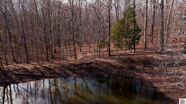 3517 Barge Island Rd., Benton, KY 42025