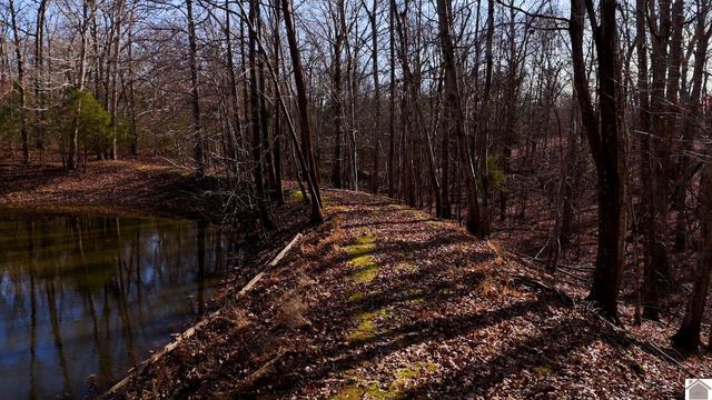 3517 Barge Island Rd., Benton, KY 42025