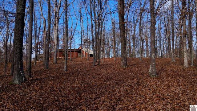 3517 Barge Island Rd., Benton, KY 42025