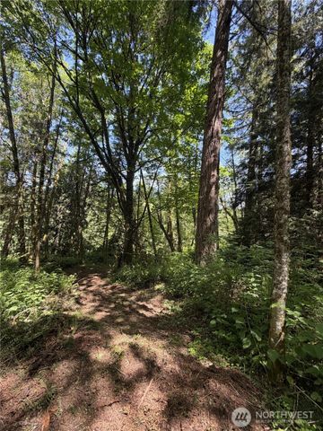 0 Squalicum Mountain Road, Bellingham, WA 98226