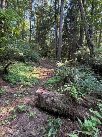 0 Squalicum Mountain Road, Bellingham, WA 98226