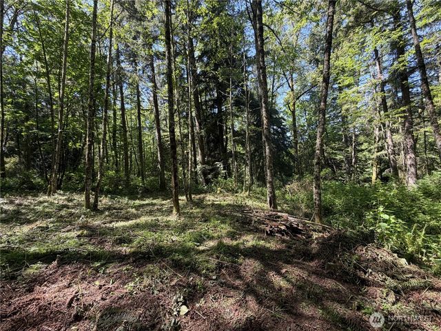 0 Squalicum Mountain Road, Bellingham, WA 98226