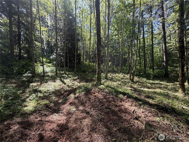 0 Squalicum Mountain Road, Bellingham, WA 98226