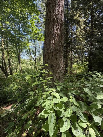 0 Squalicum Mountain Road, Bellingham, WA 98226