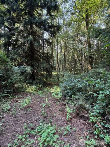 0 Squalicum Mountain Road, Bellingham, WA 98226