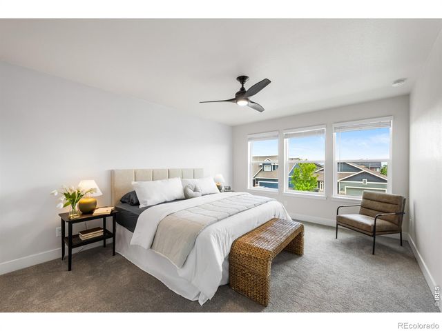 648 Greenspire Drive V-6, Windsor, CO 80550