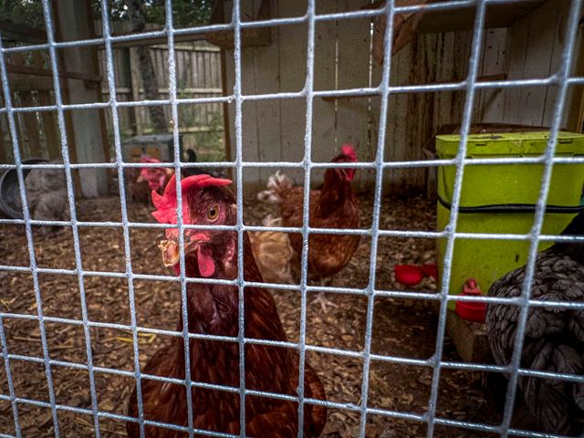 3841 Fault Line Drive, Ladson, SC 29456