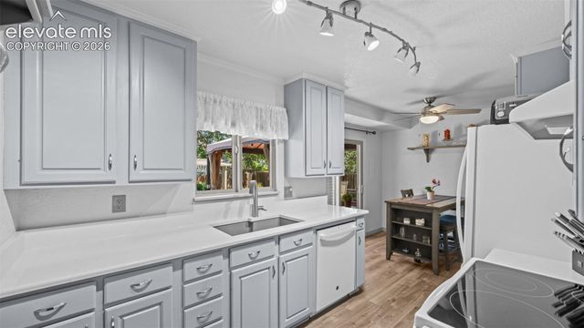 3848 Fetlock Circle, Colorado Springs, CO 80918