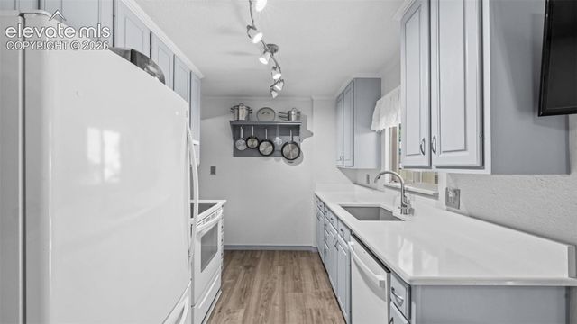 3848 Fetlock Circle, Colorado Springs, CO 80918