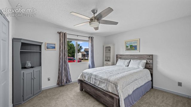 3848 Fetlock Circle, Colorado Springs, CO 80918