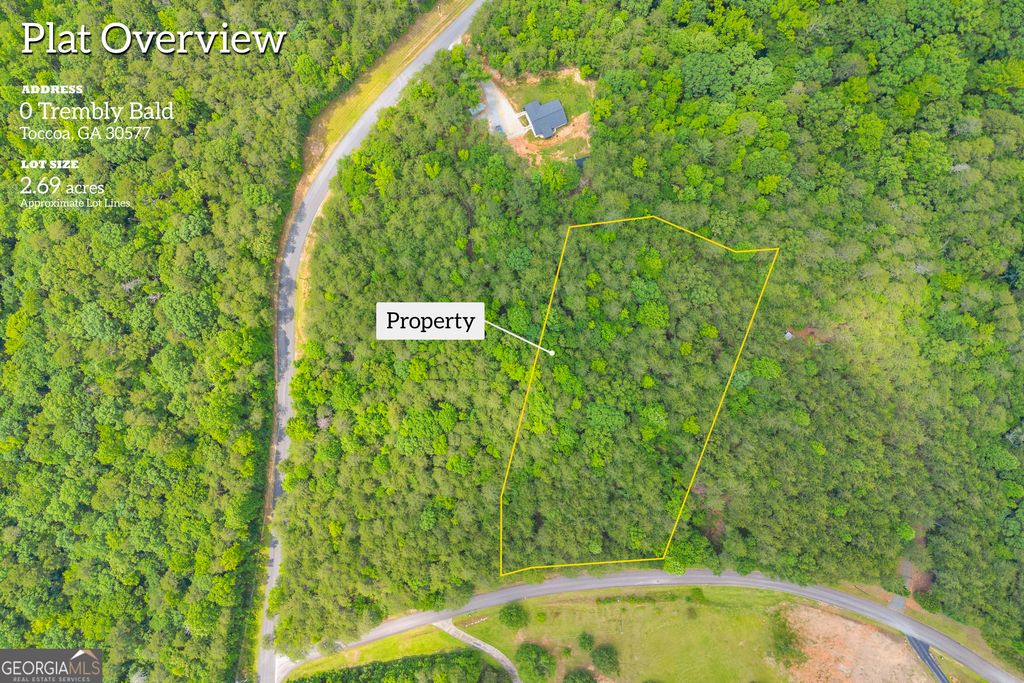0 Trembly Bald Road, Toccoa, GA 30577 — photo 2