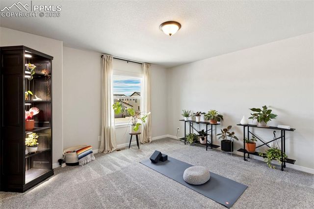 9912 Bison Valley Trail, Colorado Springs, CO 80908