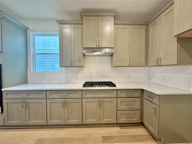 161 Young ST, Buda, TX 78610