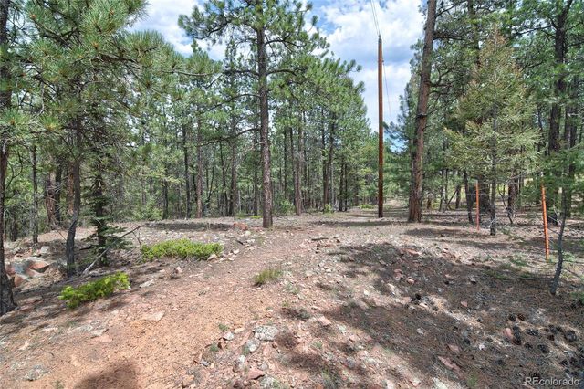 2956 Nova Road, Pine, CO 80470