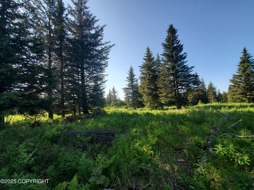 17435 Chefornak Street, Ninilchik, AK 99639