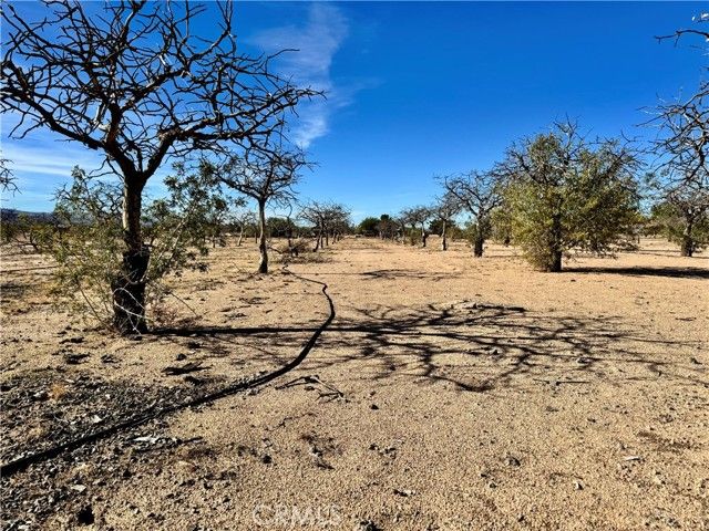 44823 Silver Valley, Newberry Springs, CA 92365