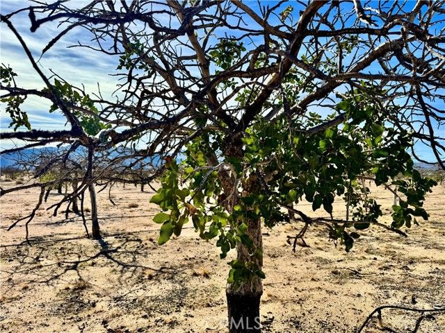 44823 Silver Valley, Newberry Springs, CA 92365